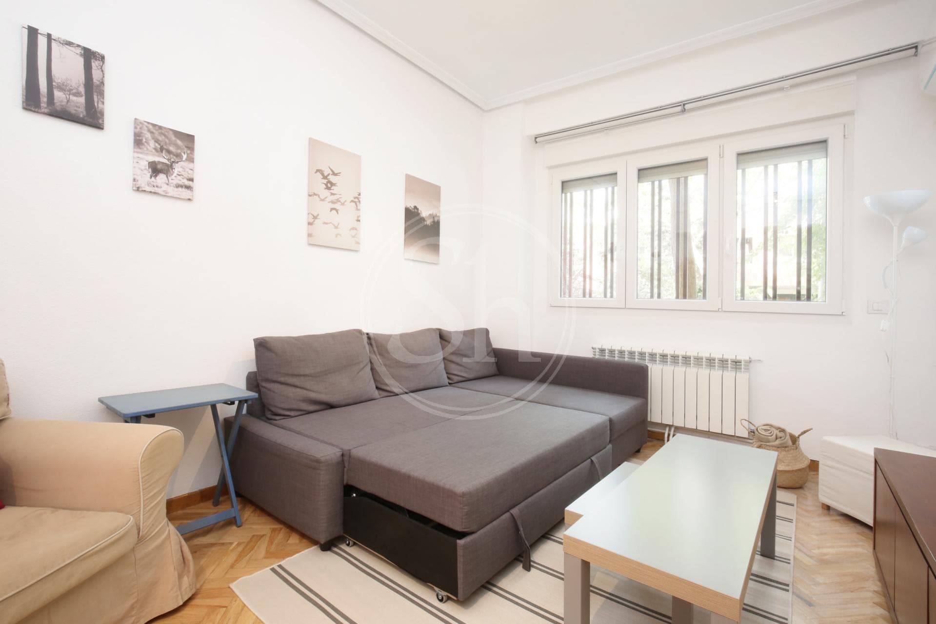 property_image_6