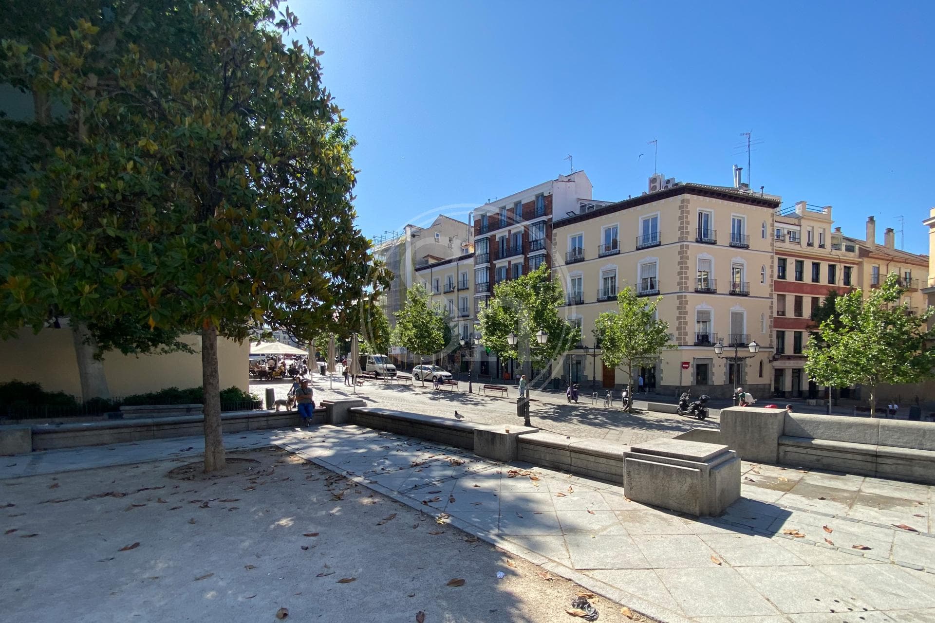 property_image_22