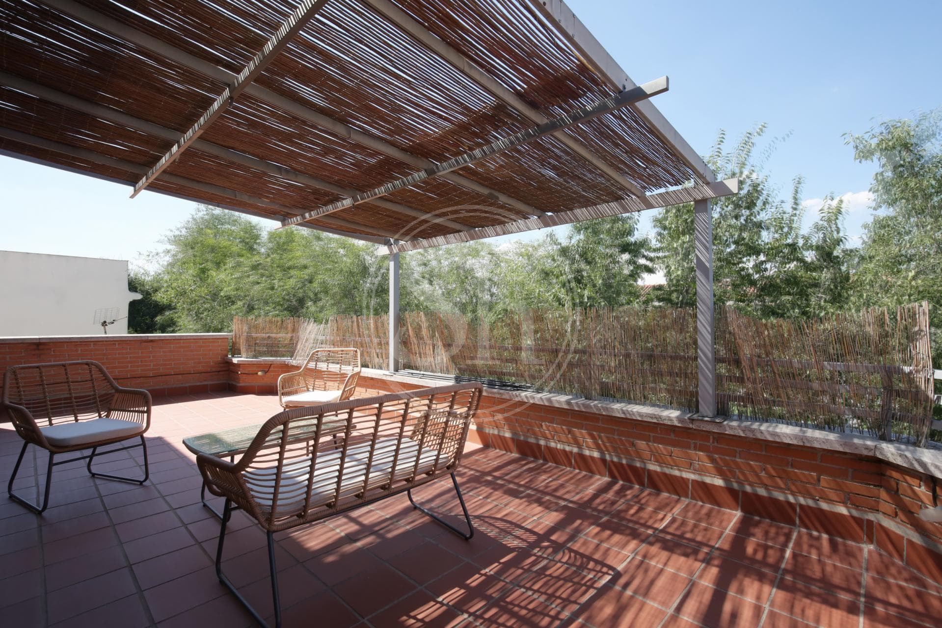 property_image_6